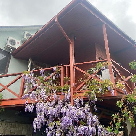Fkoka Bed & Breakfast Berehove  Dış mekan fotoğraf