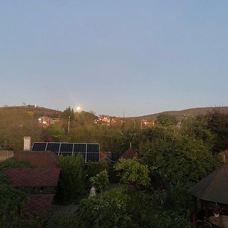 Fkoka Bed & Breakfast Berehove  Dış mekan fotoğraf