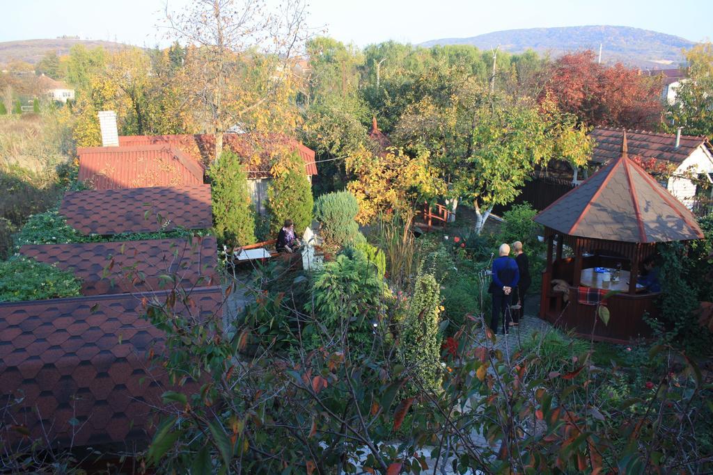 Fkoka Bed & Breakfast Berehove  Dış mekan fotoğraf