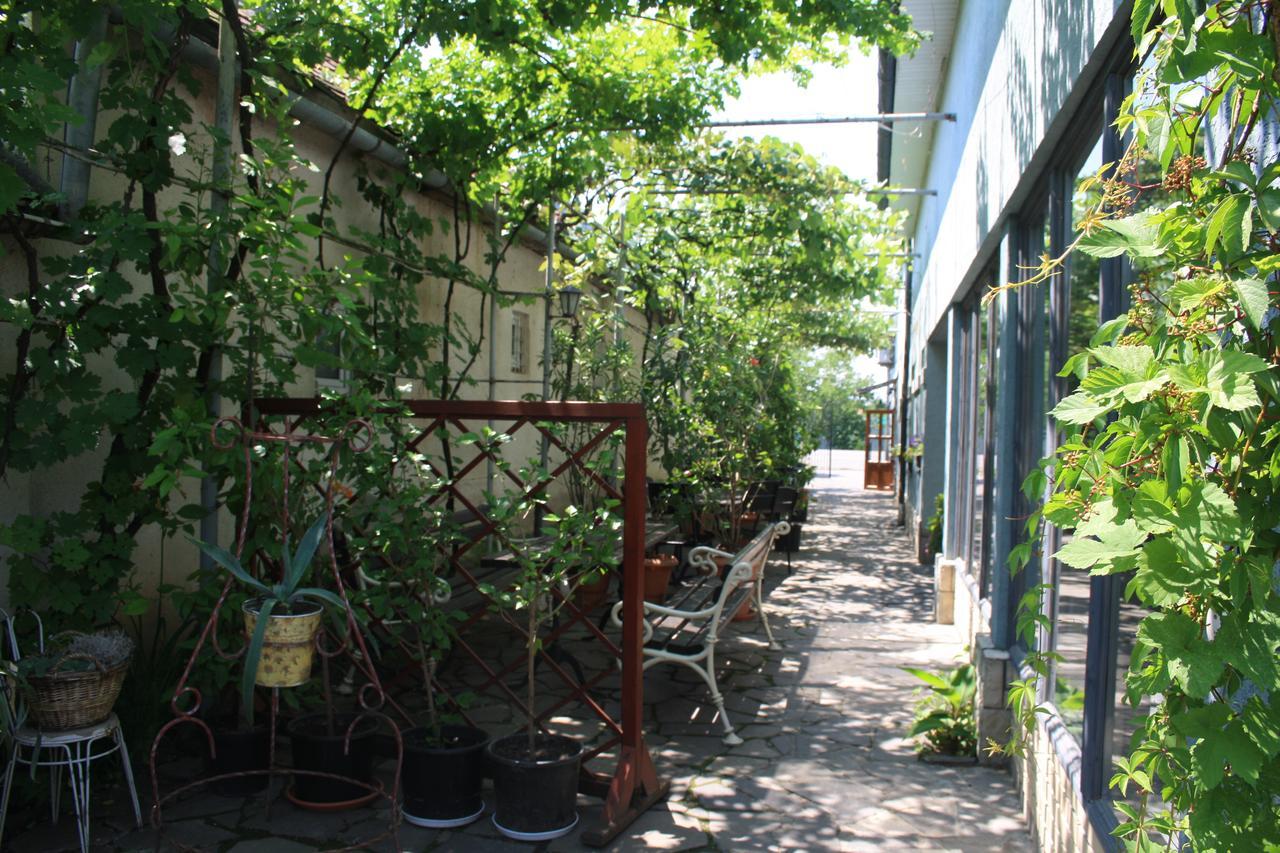 Fkoka Bed & Breakfast Berehove  Dış mekan fotoğraf